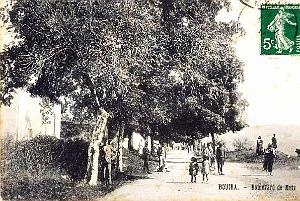 3039- Bouira - Boulevard de Metz